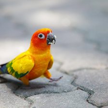 Схема вышивки «№218246»