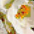 Предпросмотр схемы вышивки «натюрморт» (№218362)