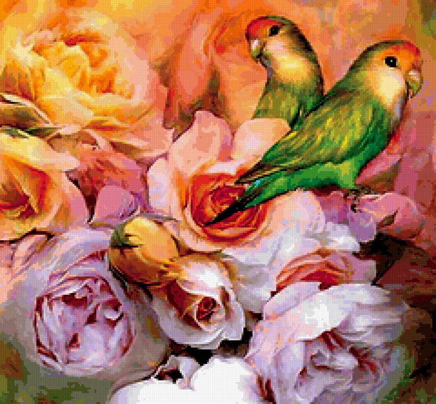 фауна - фауна, картина, животные.птицы. попугаи, природа - предпросмотр