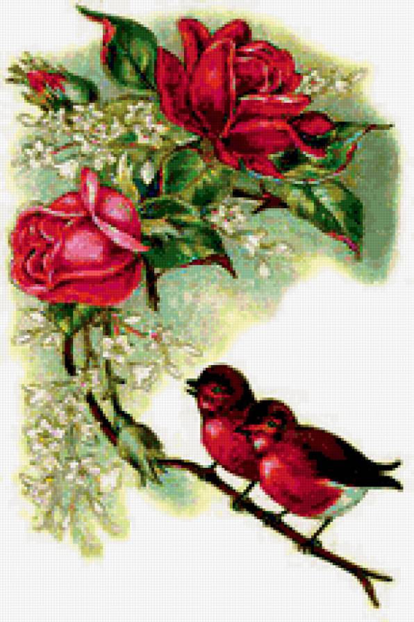 цветы - , натюрморт.птицы, романтика, букет, цветы, природа - предпросмотр