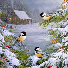 Схема вышивки «птицы»