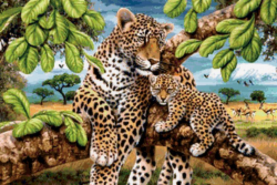 фауна - тигр, природа, животные, картина, фауна - предпросмотр