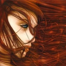 Схема вышивки «рыжая»