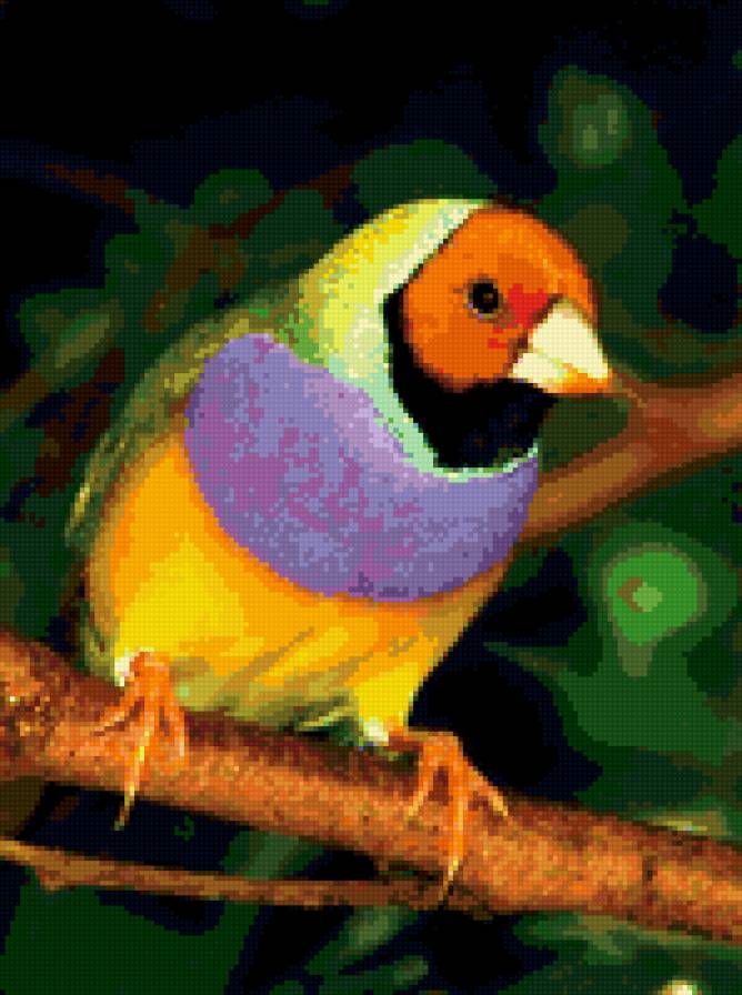 Птица - питица, животные, картина - предпросмотр