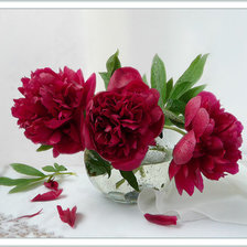 Схема вышивки «цветы»