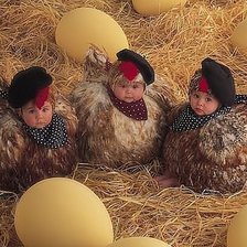 Схема вышивки «цыпочки»