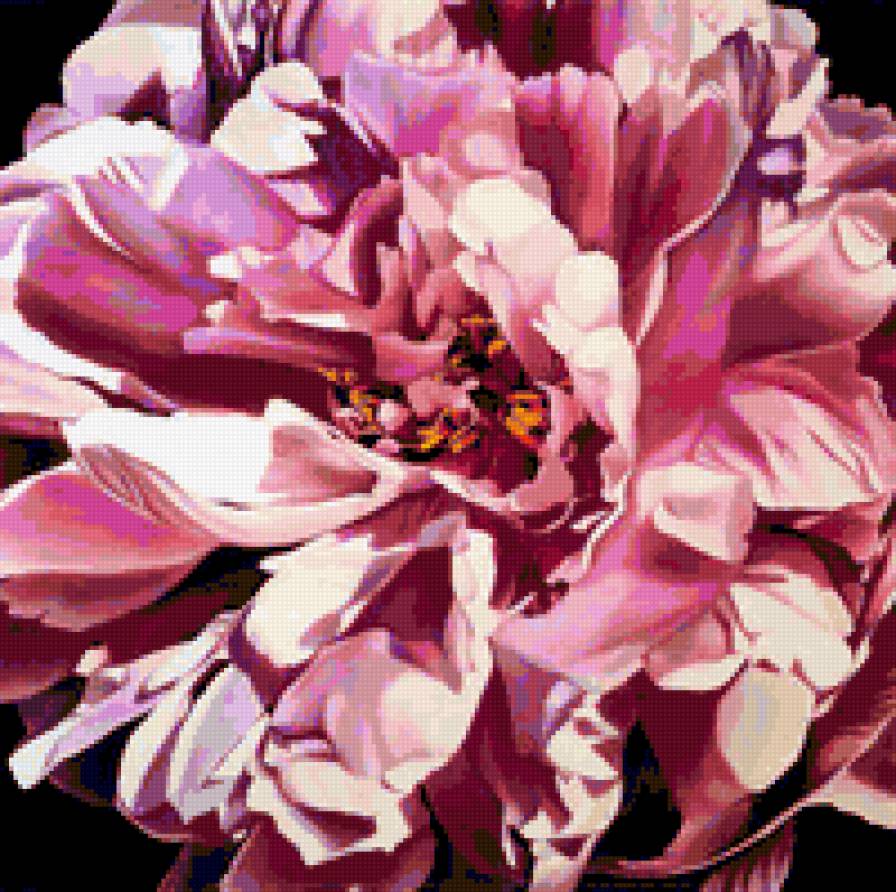 пион - розовый, цветок, подушка, пион - предпросмотр