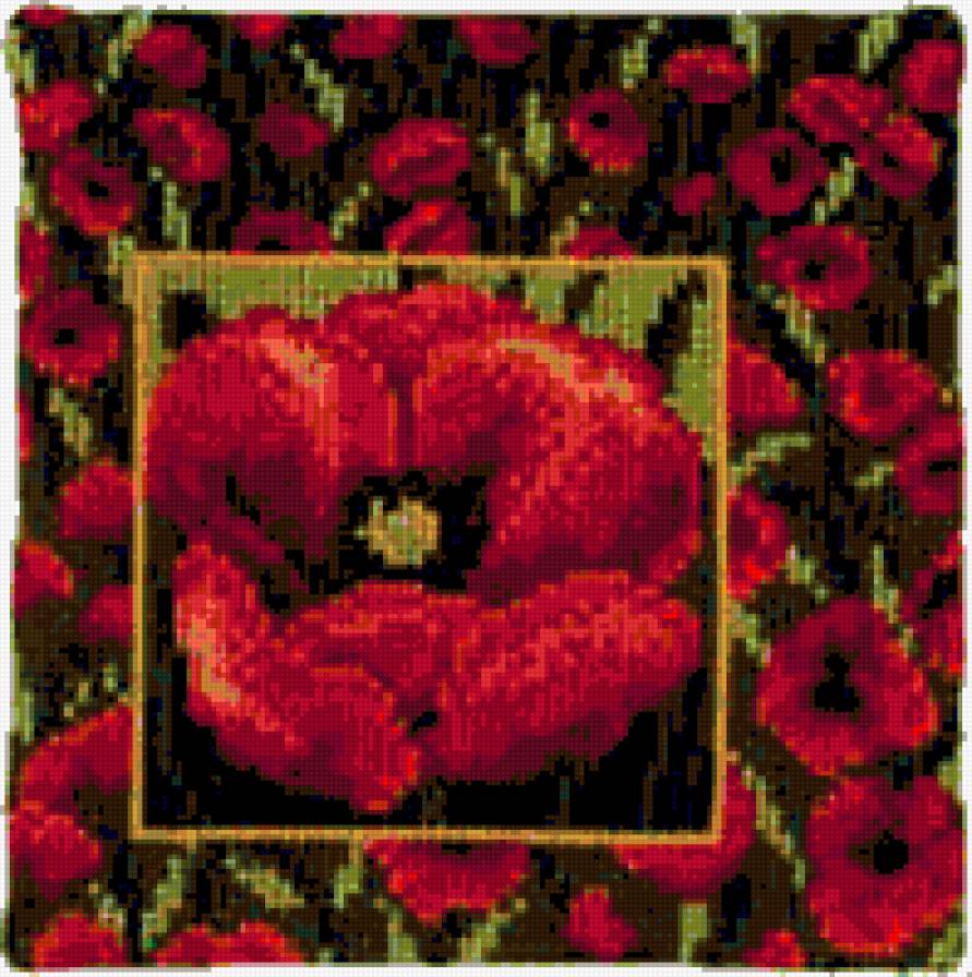 маки - мак, подушка, поле, красный - предпросмотр