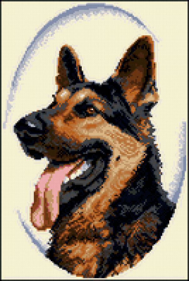 Мухтар - мухтар, собаки, сериалы - предпросмотр