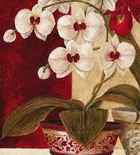 Схема вышивки «№218797»