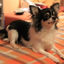 Схема вышивки «№218798»