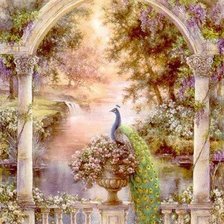 Схема вышивки «павлин»