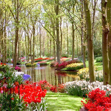 Схема вышивки «пейзаж»