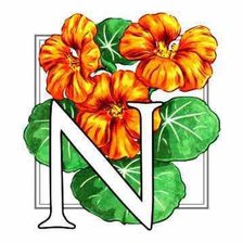 Схема вышивки «буква»