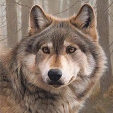 Схема вышивки «Волк»