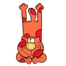 Схема вышивки «кот»