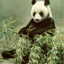 Схема вышивки «Панда»