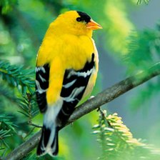 Схема вышивки «123»