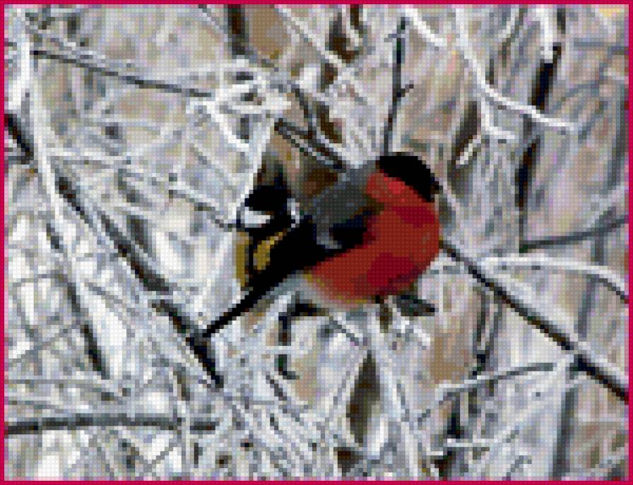 Снегири. - птицы - предпросмотр