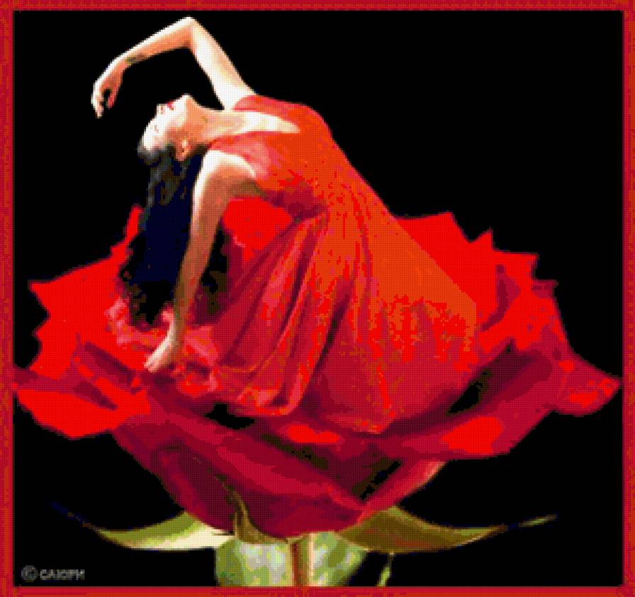 Рождение - девушки, цветы - предпросмотр