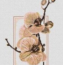 Схема вышивки «№219177»