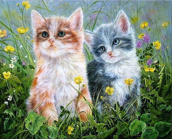 №219753 - оригинал