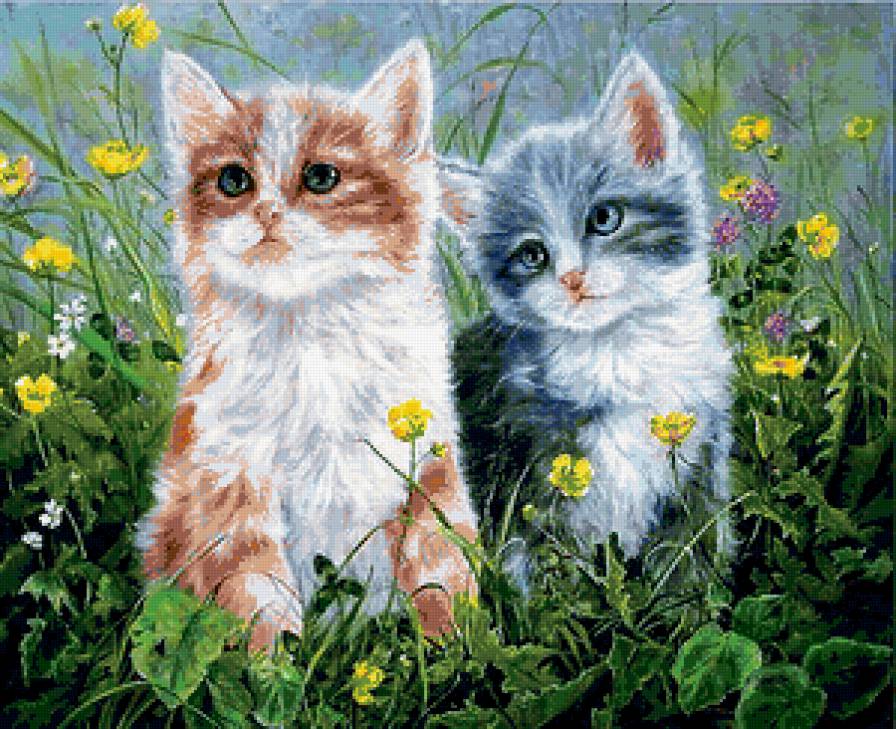 №219753 - предпросмотр