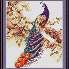Схема вышивки «павлин»