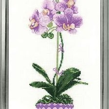 Схема вышивки «орхидея»