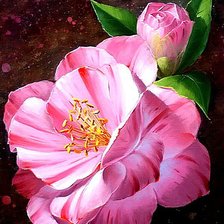 Схема вышивки «№220253»