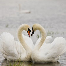 Схема вышивки «Люблю»