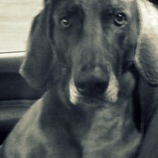 Схема вышивки «Betty»