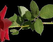 Схема вышивки «№220540»