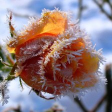 Схема вышивки «ЗАСТЫВШИЙ ПОЦЕЛУЙ ЗИМЫ»