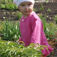 Схема вышивки «поля»