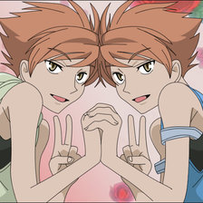 Схема вышивки «Близнецы Хитайчин»