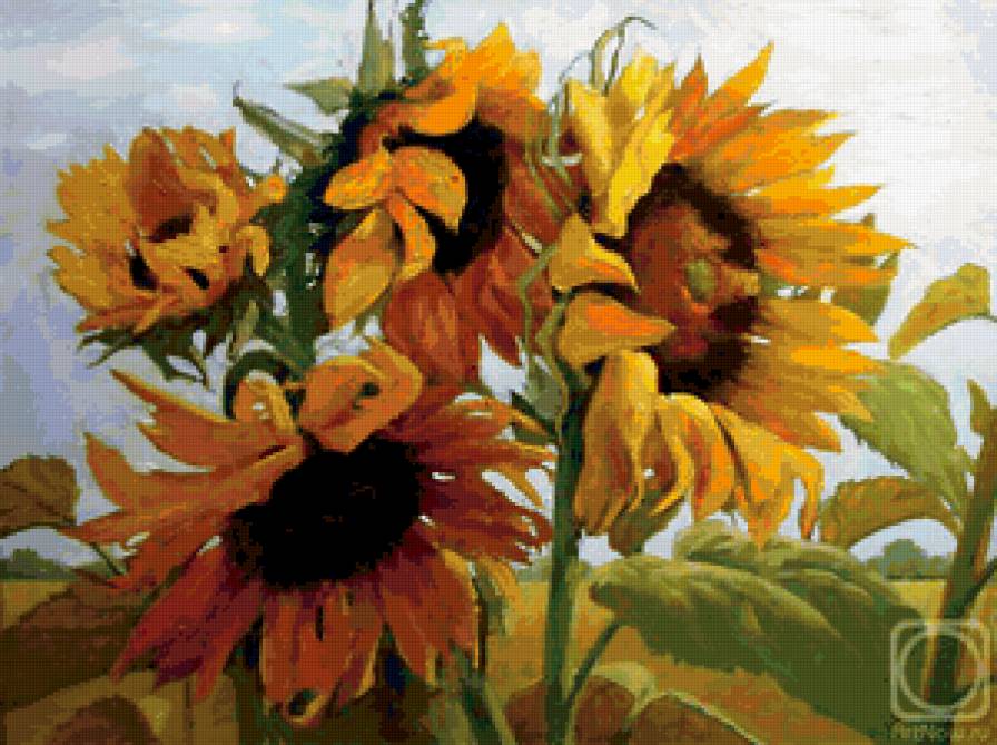 Подсолнухи - подсолнухи, цветы, натюрморт - предпросмотр