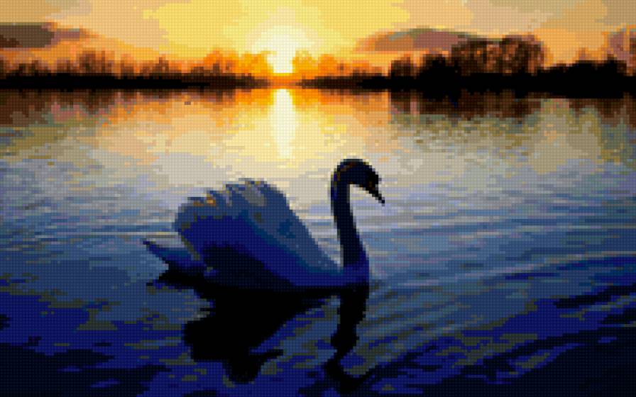 Лебедь на закате - птицы - предпросмотр