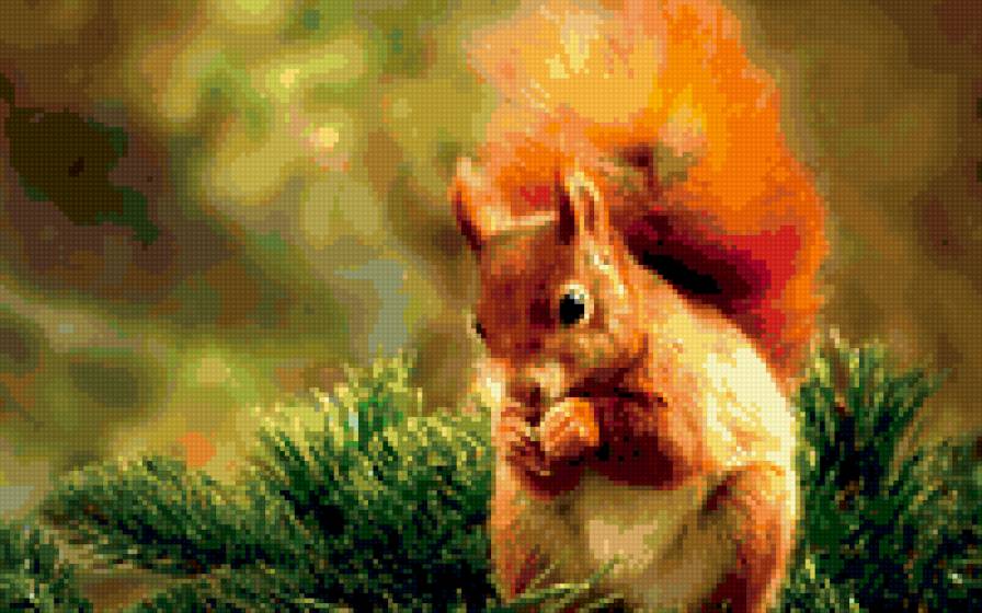 Белочка - белочки - предпросмотр