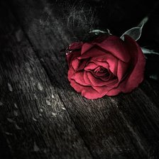 Схема вышивки «Роза»