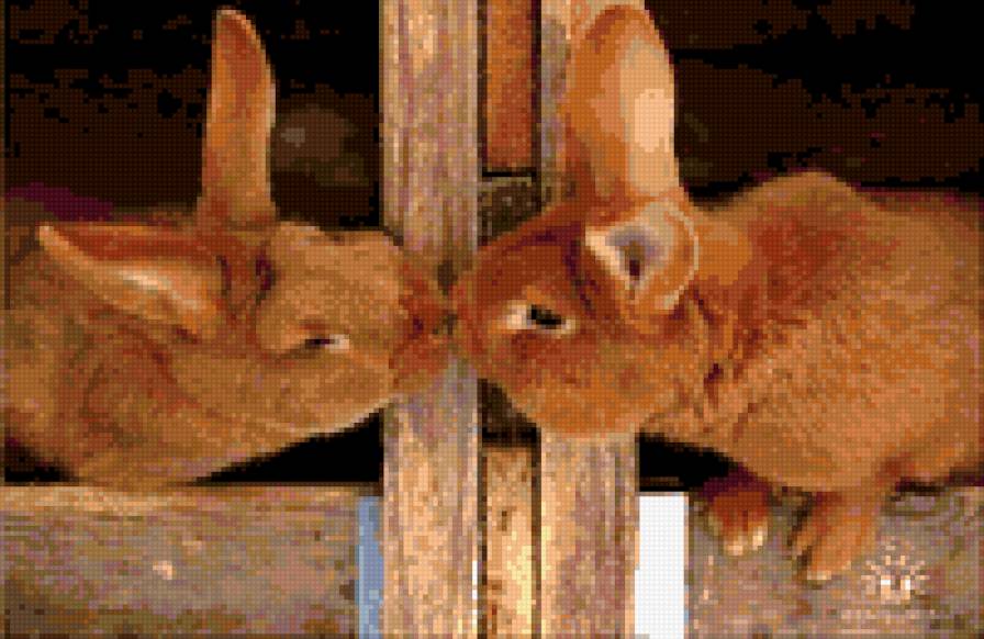 Зайцы - зайцы, кролики, животные - предпросмотр