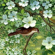 Схема вышивки «Весенние трели»