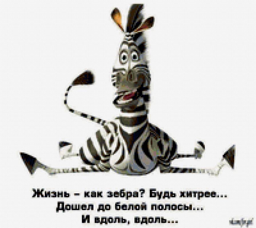 зебра - мультики, смешное - предпросмотр