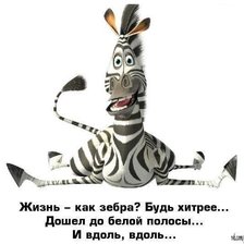 Схема вышивки «зебра»