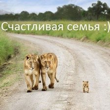 Схема вышивки «семья...»