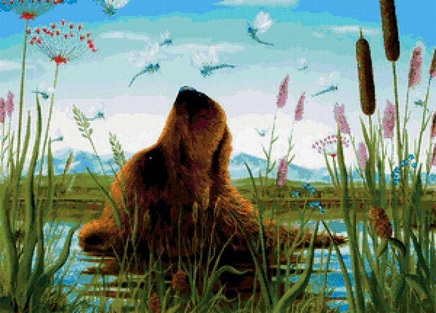 медведь - медведь - предпросмотр