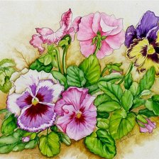 Схема вышивки «Анютины глазки»