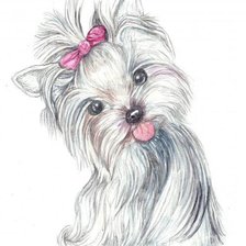 Схема вышивки «№221025»