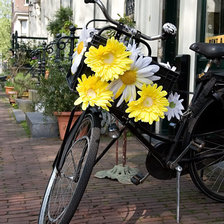 Схема вышивки «Голландская улочка»