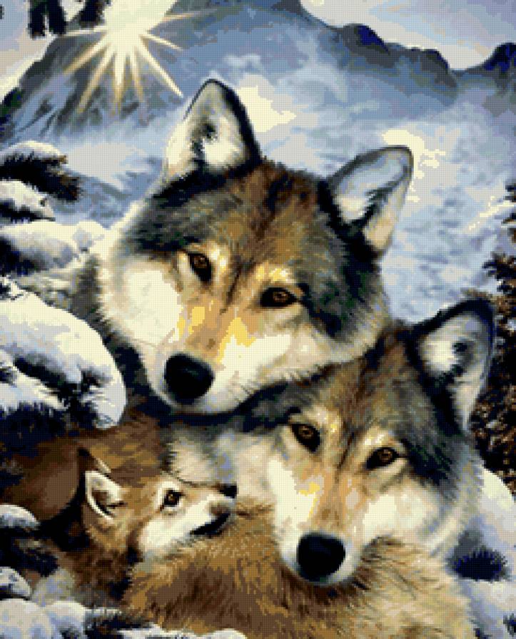 volki - предпросмотр